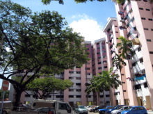 Blk 114 Bukit Purmei Road (Bukit Merah), HDB 4 Rooms #257592